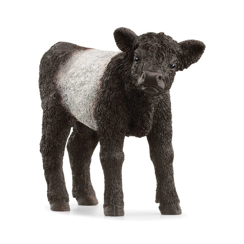 Schleich - Bezerro Galloway