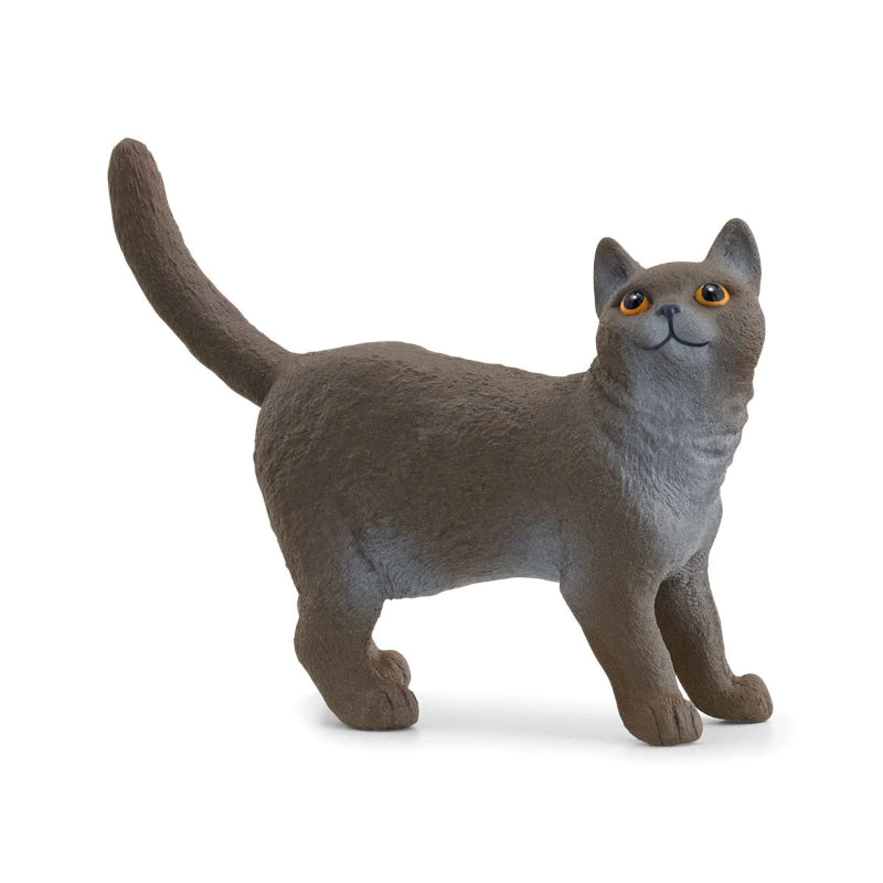 Schleich - Gato de Pelo Curto Inglês