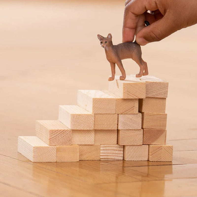 Schleich - Gato Abissínio