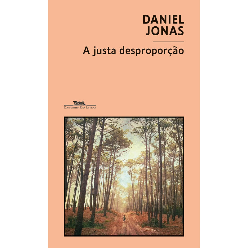 A Justa Desproporção