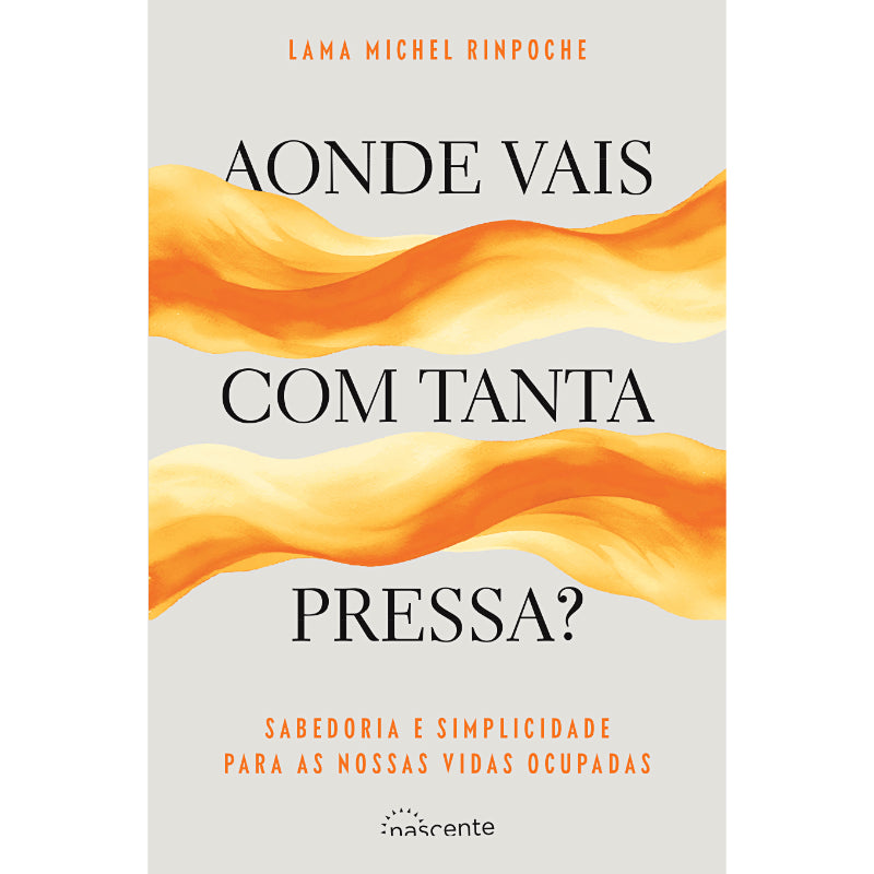 Aonde Vais com Tanta Pressa?