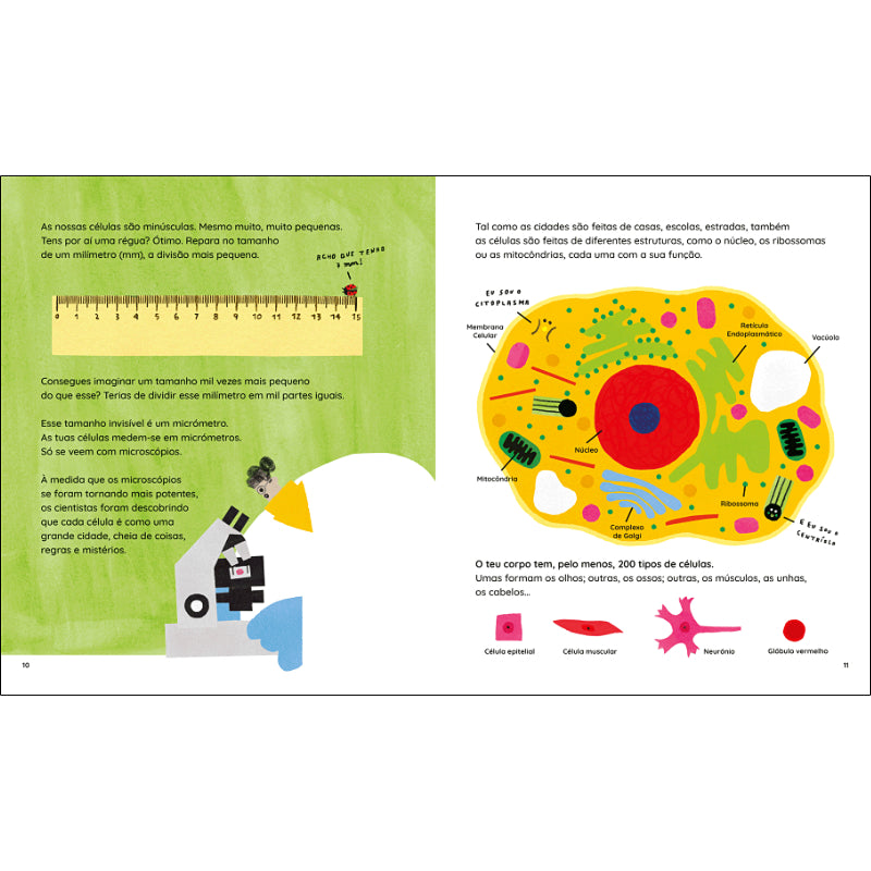 As Peças Mais Pequenas