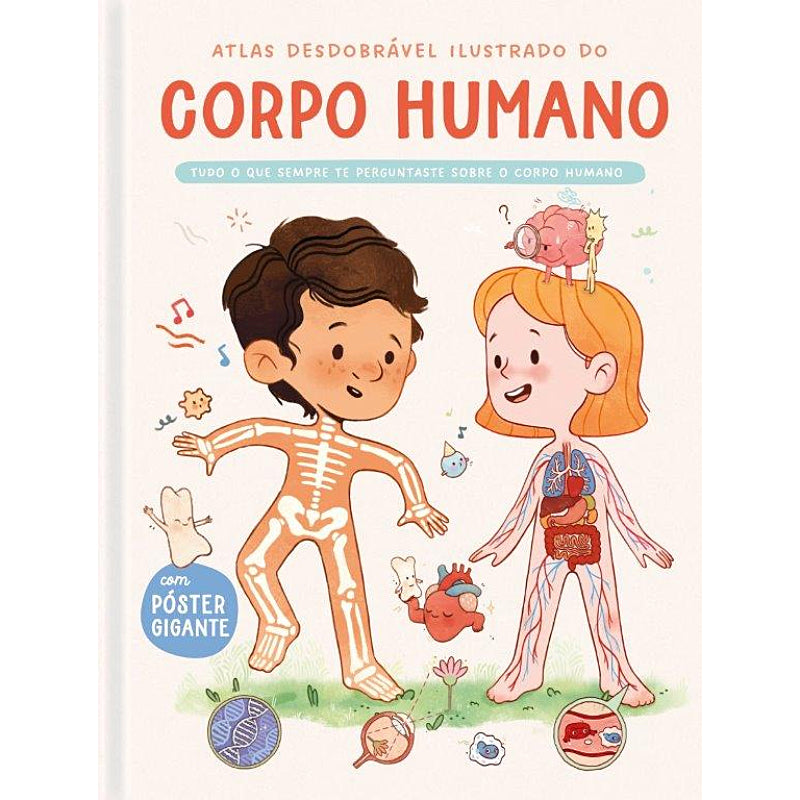 Atlas Desdobrável Ilustrado do Corpo Humano
