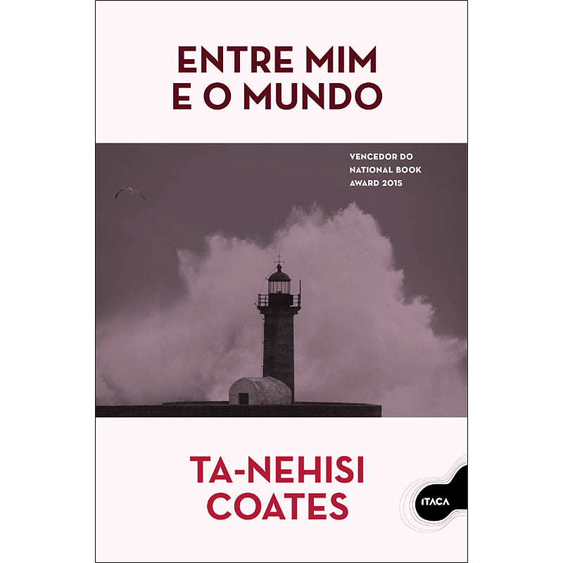Entre Mim e o Mundo
