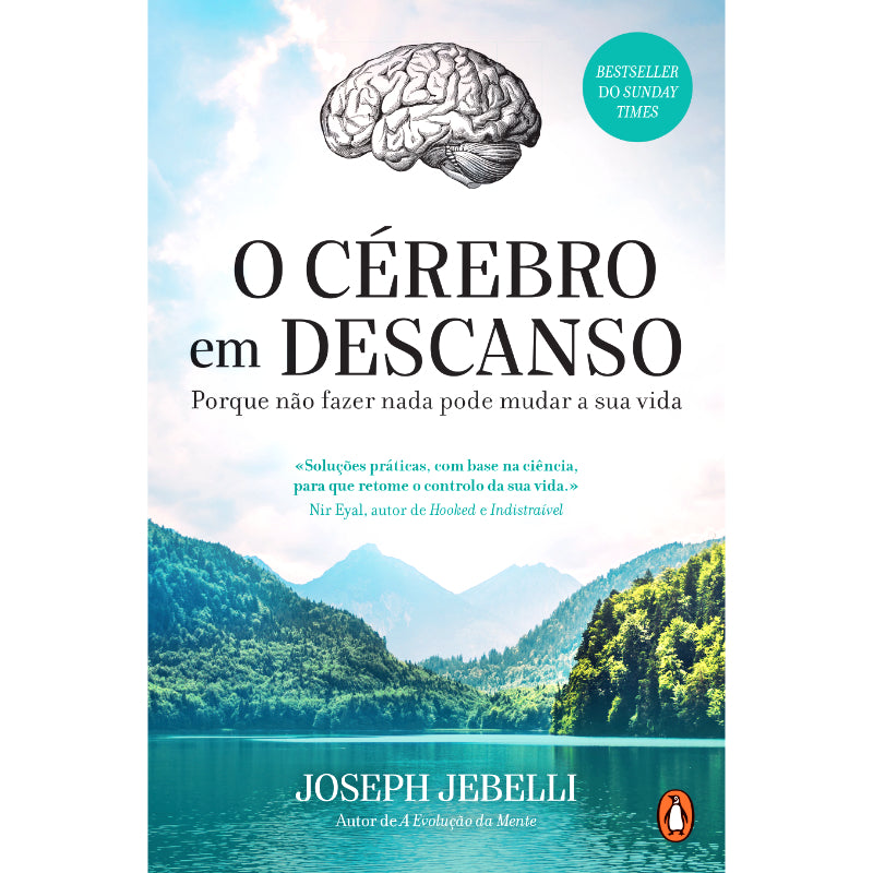 O Cérebro em Descanso
