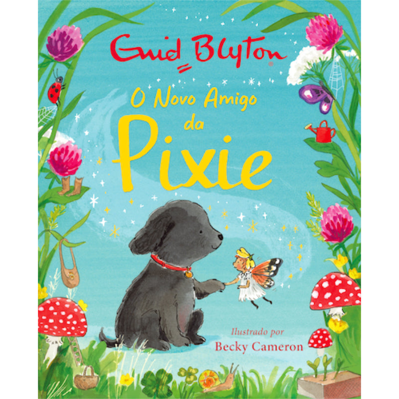O Novo Amigo da Pixie