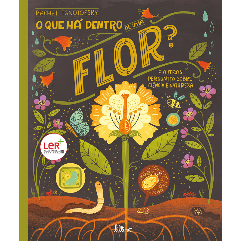 O que Há Dentro de uma Flor?