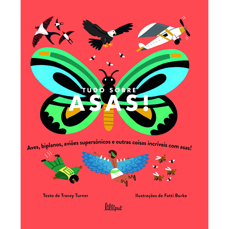 Tudo Sobre Asas!