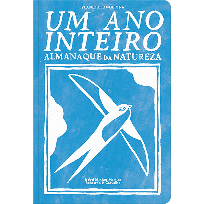 Um Ano Inteiro