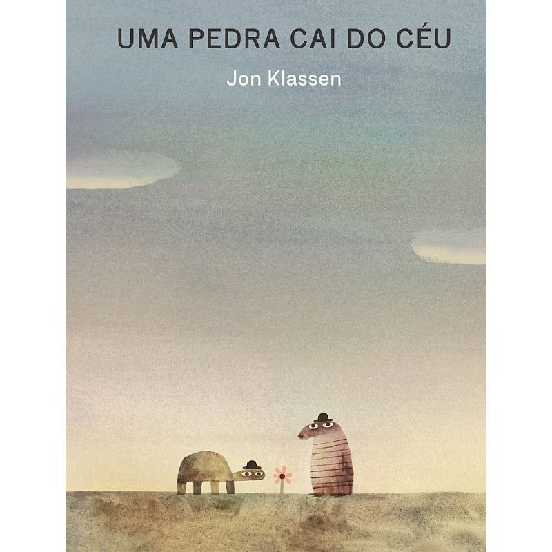 Uma Pedra Cai do Céu