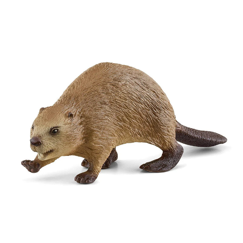 Schleich - Castor