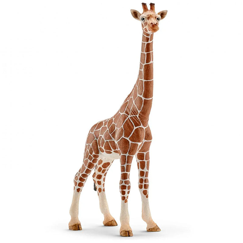 Schleich - Girafa Fêmea