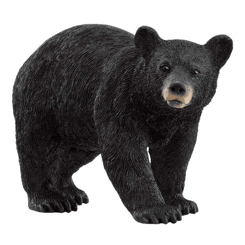 Schleich - Urso Negro