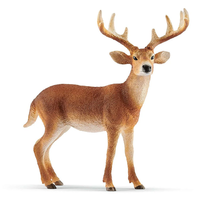 Schleich - Veado de Cauda Branca Macho