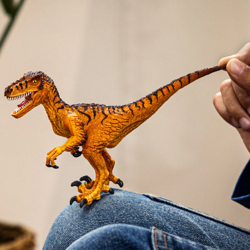 Schleich - Velociraptor