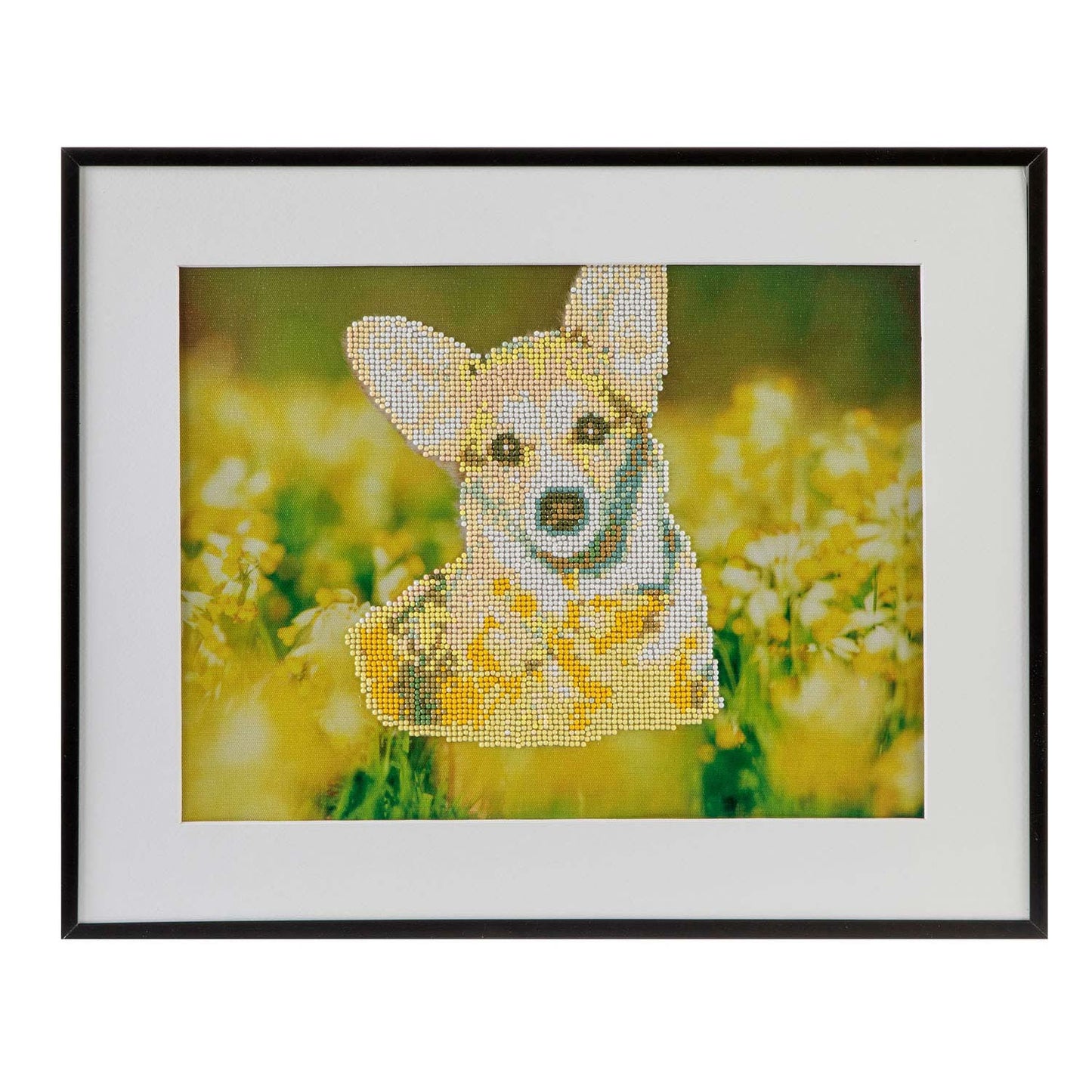 Quadro de Pintar Por Diamantes Cão 40x50cm