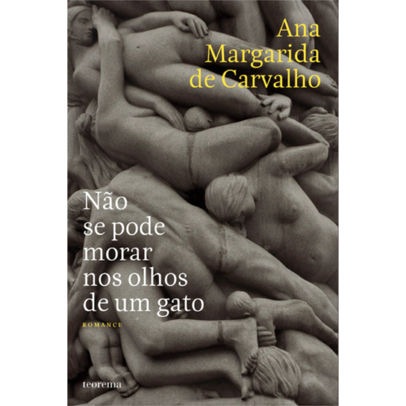 Não se Pode Morar nos Olhos de Um Gato