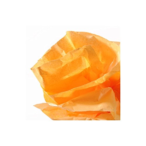 Papel De Seda Canson Rolo (0,5x5m)