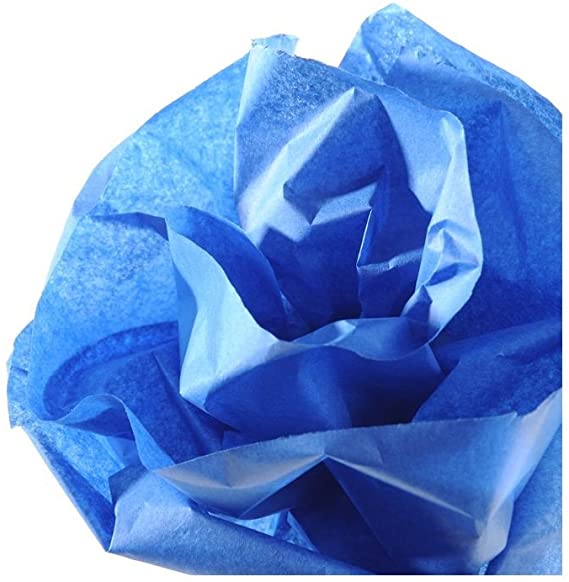 Papel De Seda Canson Rolo (0,5x5m)