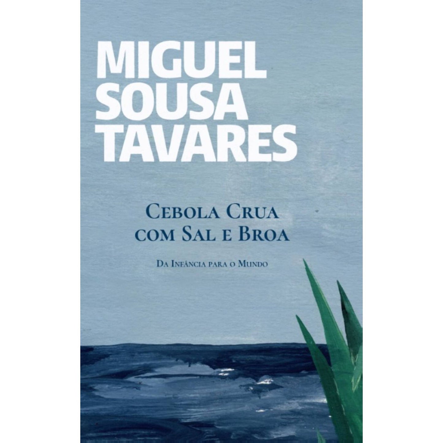 Cebola Crua Com Sal e Broa