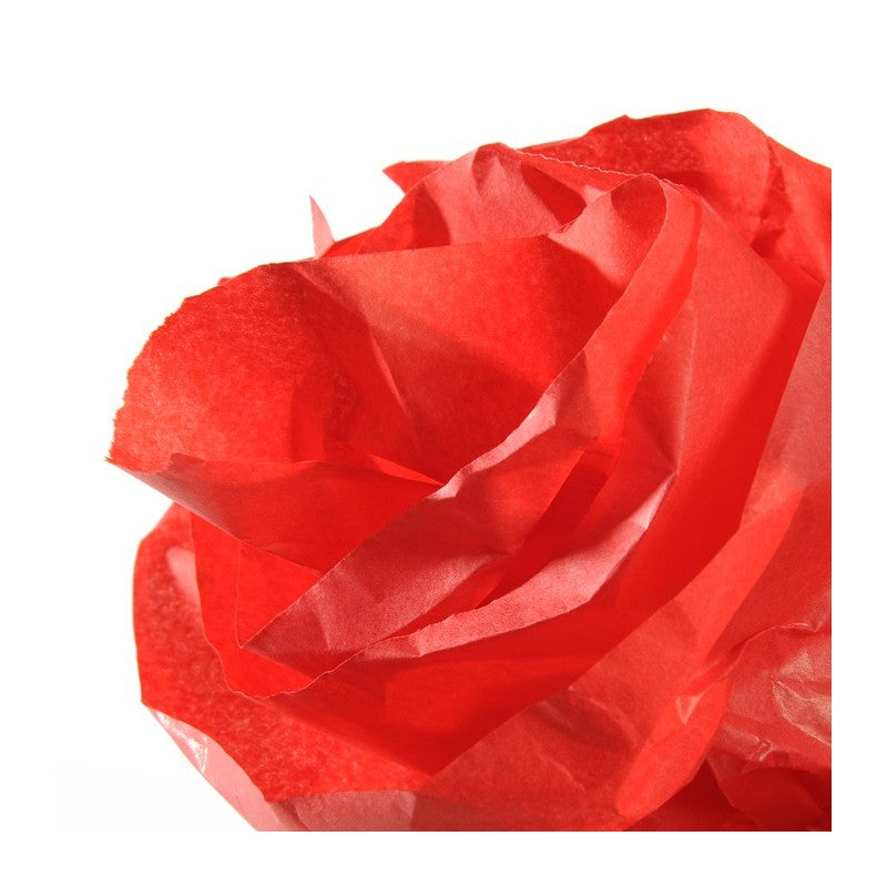 Papel De Seda Canson Rolo (0,5x5m)