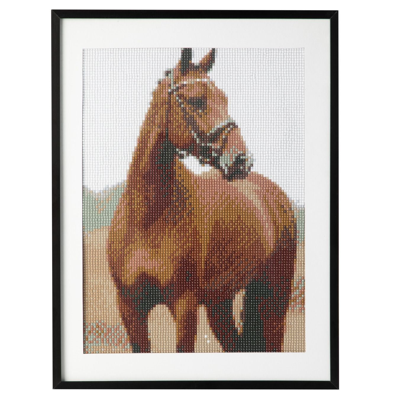 Quadro de Pintar Por Diamantes Cavalo 30x40cm