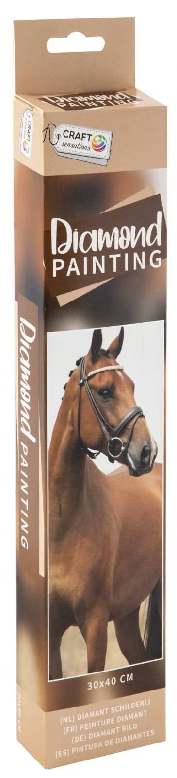 Quadro de Pintar Por Diamantes Cavalo 30x40cm
