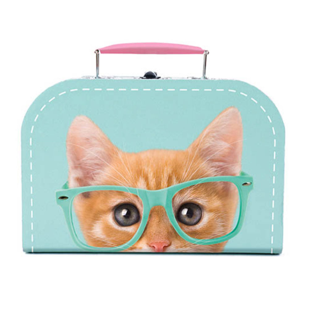 Studio Pets - RayBen - Malinha com Peluche com 16 cm e Livro de Atividades