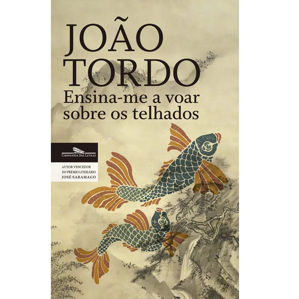 Ensina-me a Voar sobre os Telhados