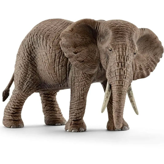 Schleich - Elefante Africano Fêmea