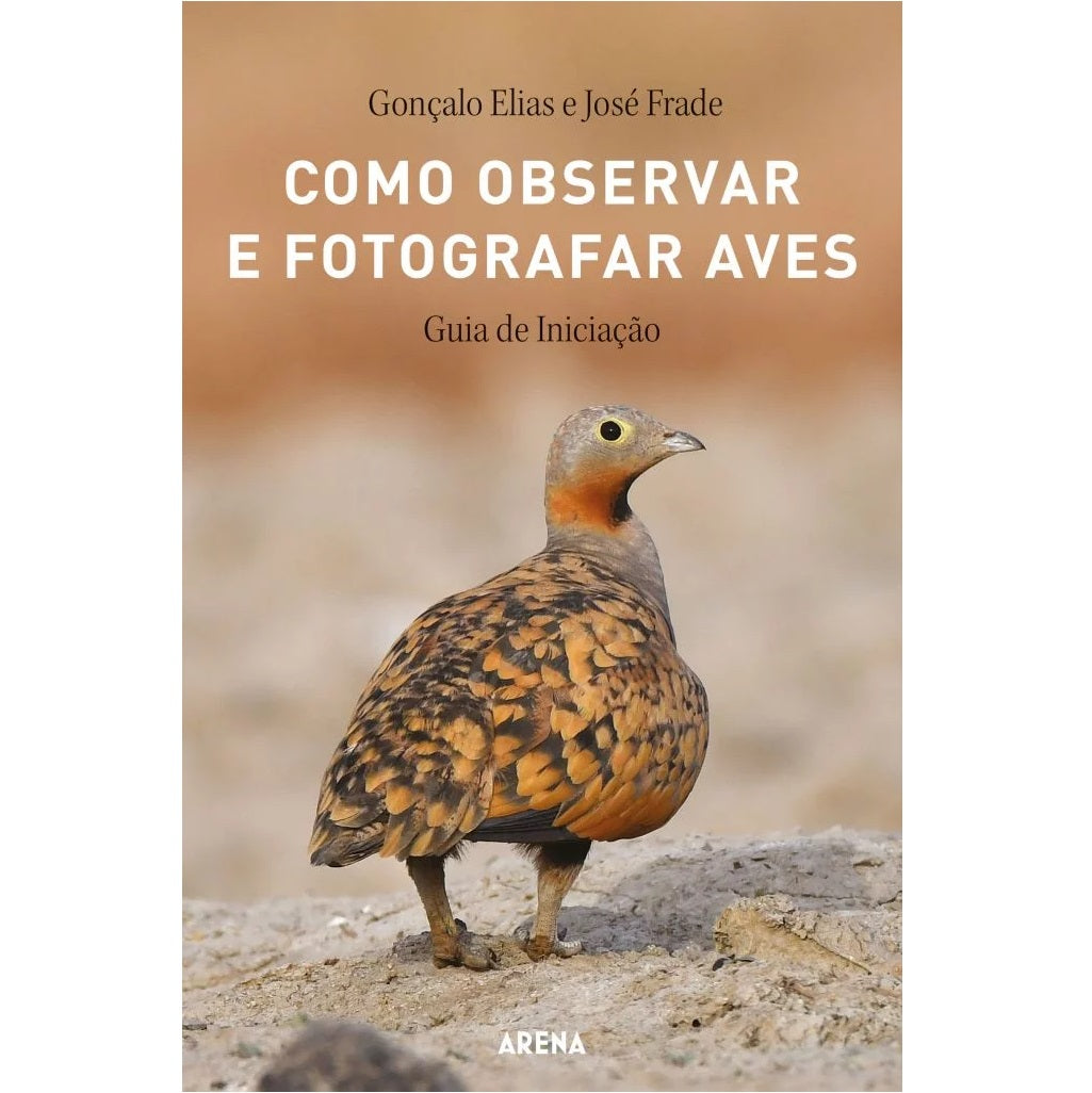 Como Observar e Fotografar Aves Guia de iniciação