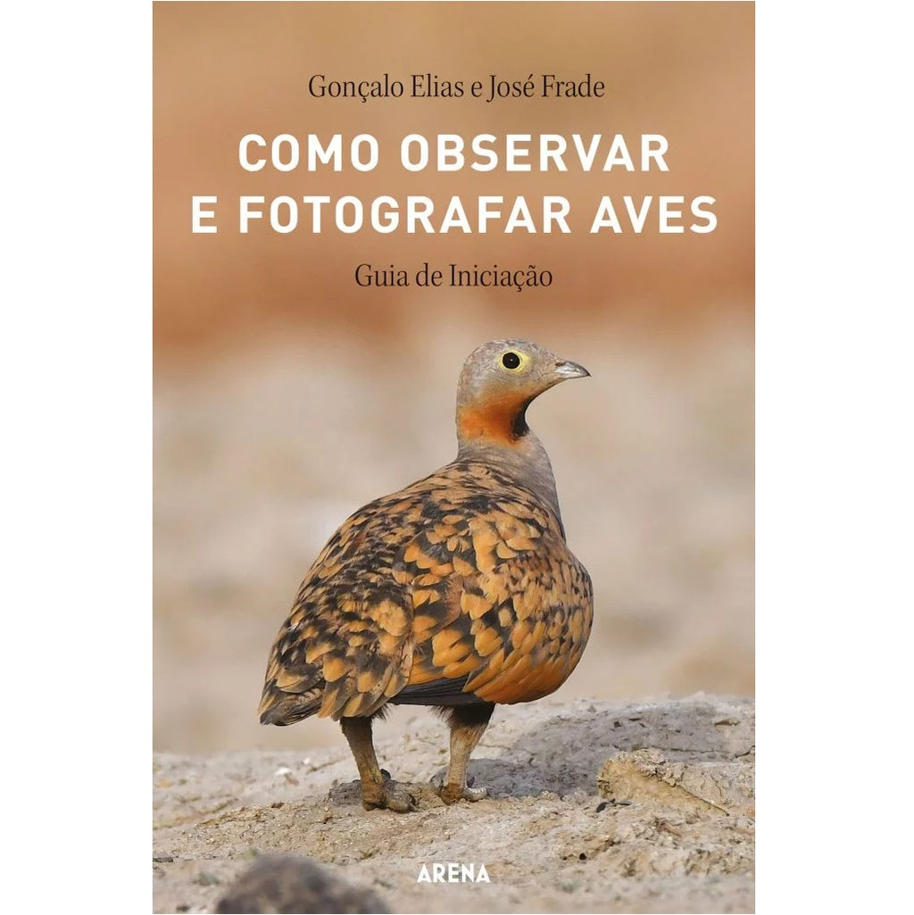 Como Observar e Fotografar Aves Guia de iniciação