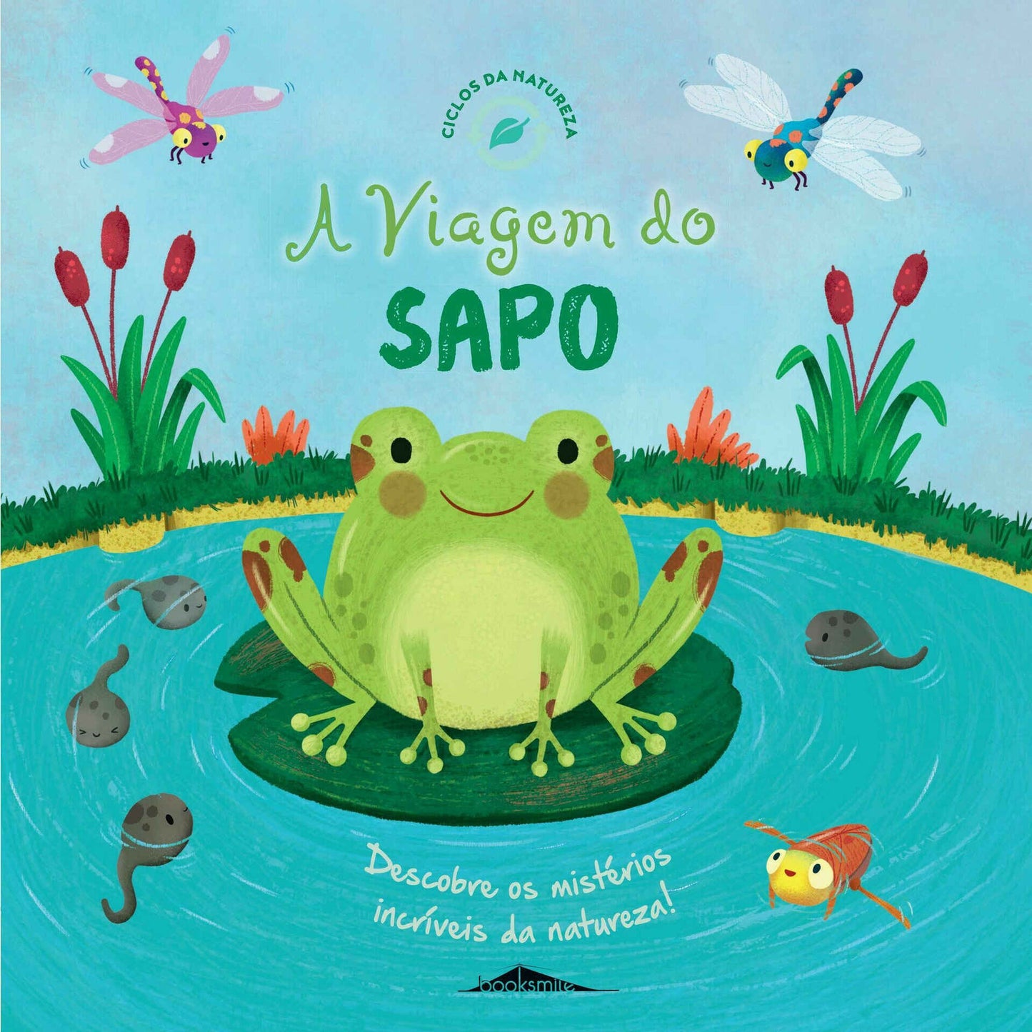 A Viagem do Sapo