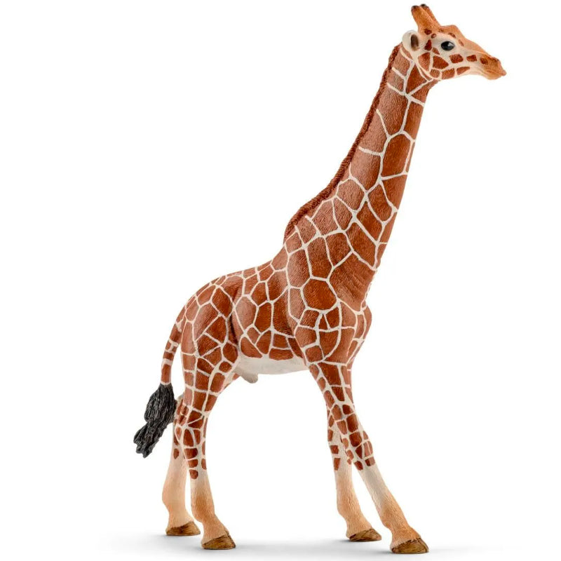 Schleich - Girafa Macho