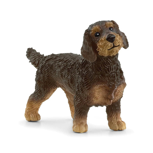 Schleich - Teckel de Pelo Duro