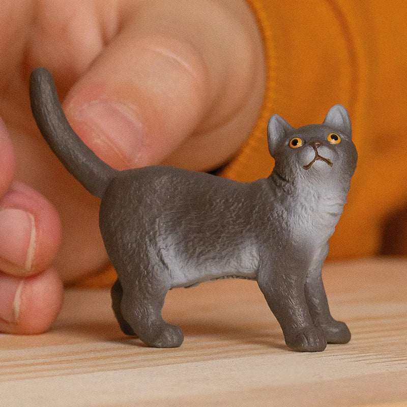 Schleich - Gato de Pelo Curto Inglês