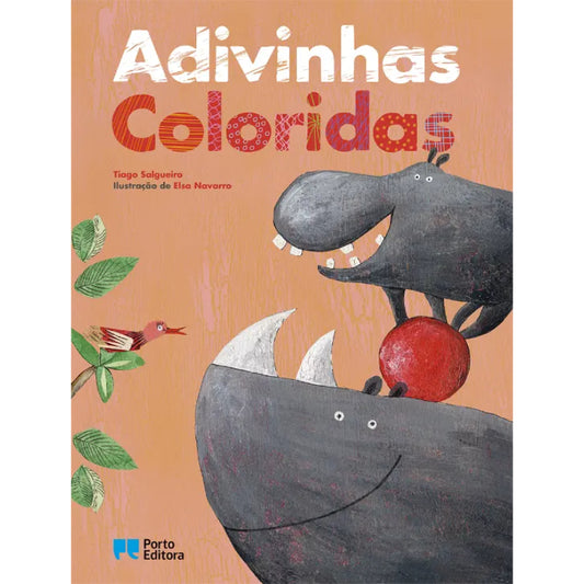 Adivinhas Coloridas