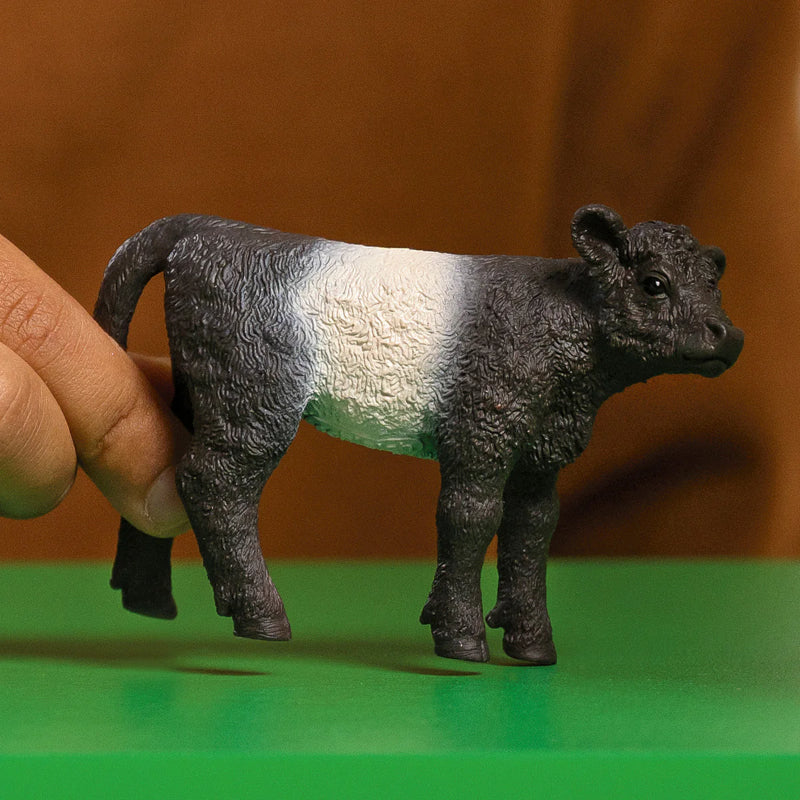 Schleich - Bezerro Galloway