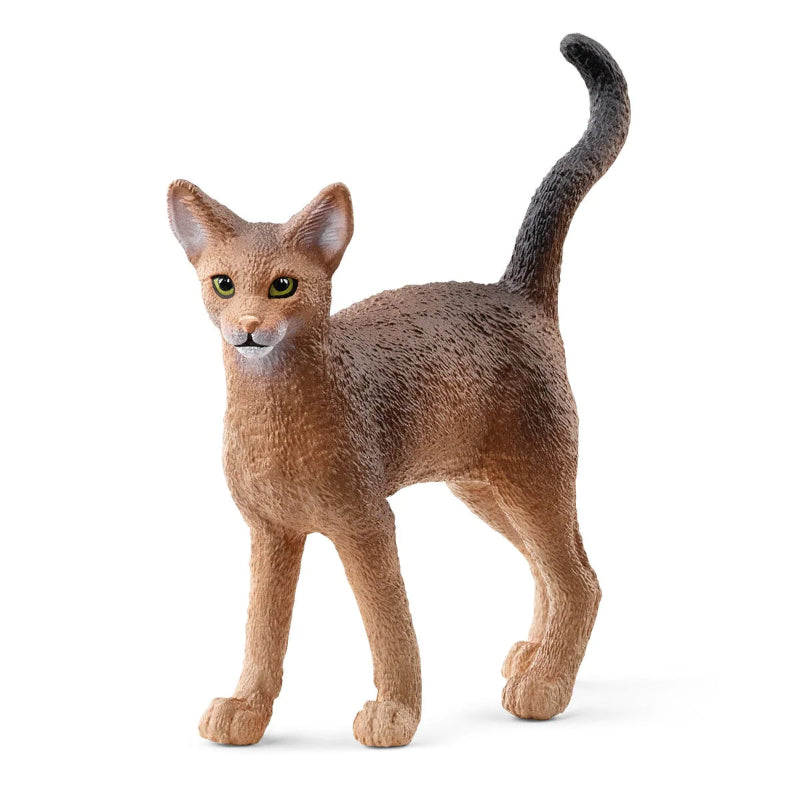 Schleich - Gato Abissínio