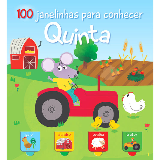 100 Janelinhas Para Conhecer… Quinta