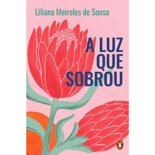 A Luz que Sobrou