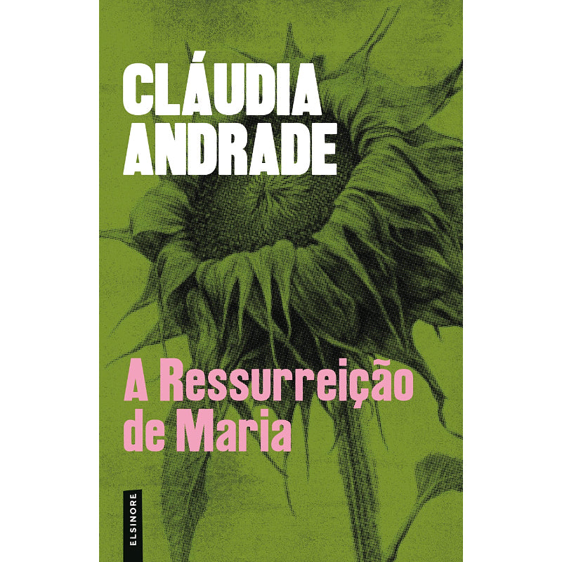 A Ressurreição de Maria