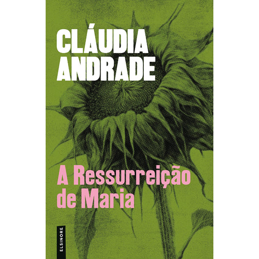 A Ressurreição de Maria