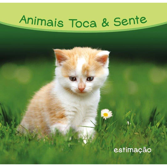 Animais de Estimação - Toca & Sente