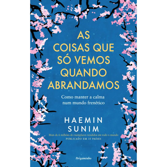 As Coisas que Só Vemos Quando Abrandamos