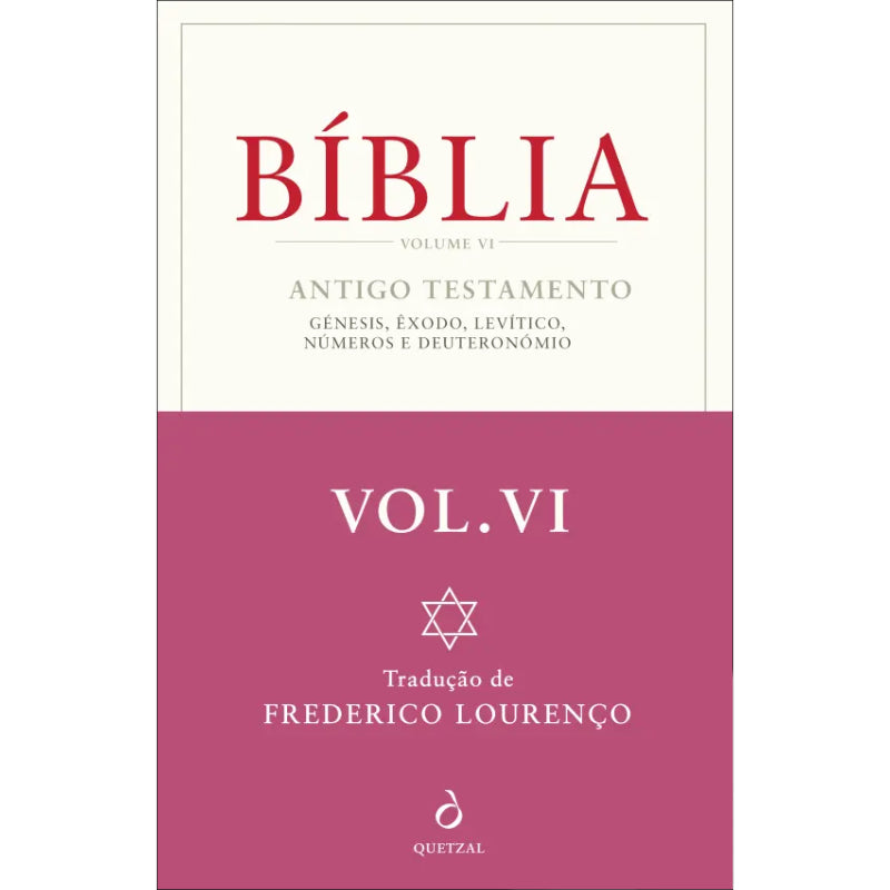 Bíblia - Volume VI