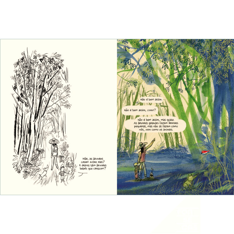 Como Nascem as Árvores
