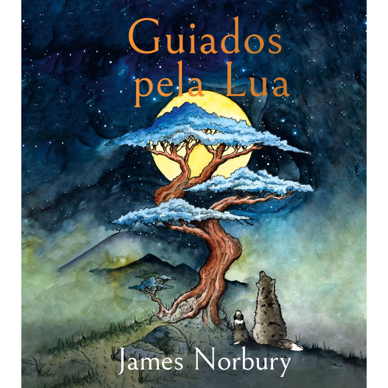 Guiados pela Lua