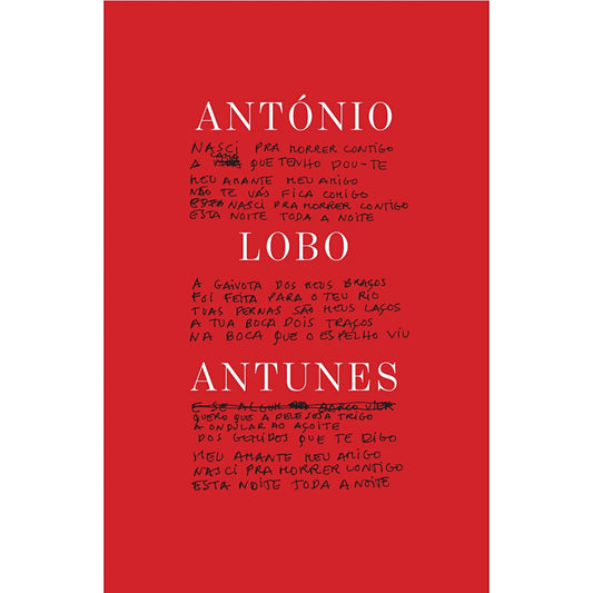 Livro de Poemas