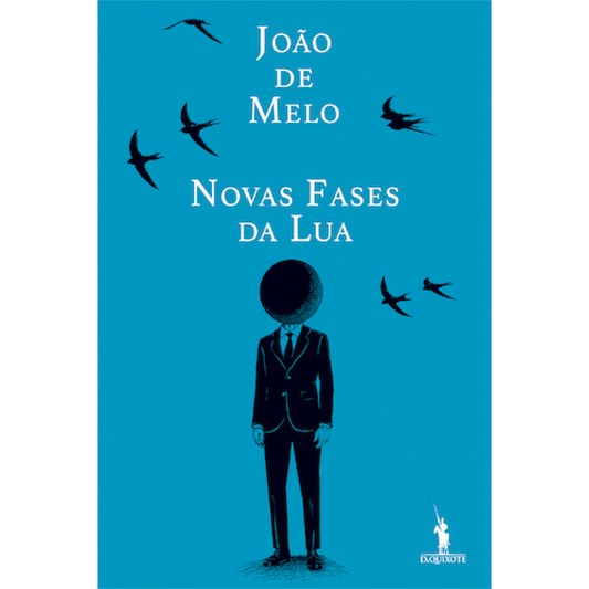 Novas Fases da Lua